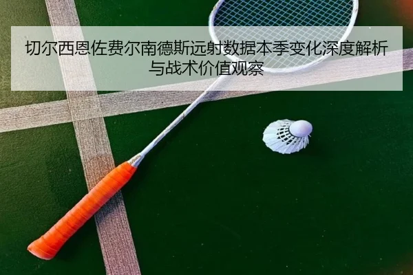 切尔西恩佐费尔南德斯远射数据本季变化深度解析与战术价值观察