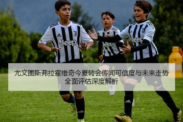 尤文图斯弗拉霍维奇今夏转会传闻可信度与未来走势全面评估深度解析