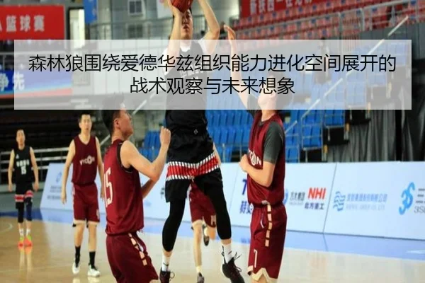 森林狼围绕爱德华兹组织能力进化空间展开的战术观察与未来想象