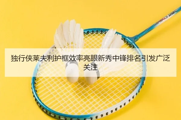独行侠莱夫利护框效率亮眼新秀中锋排名引发广泛关注